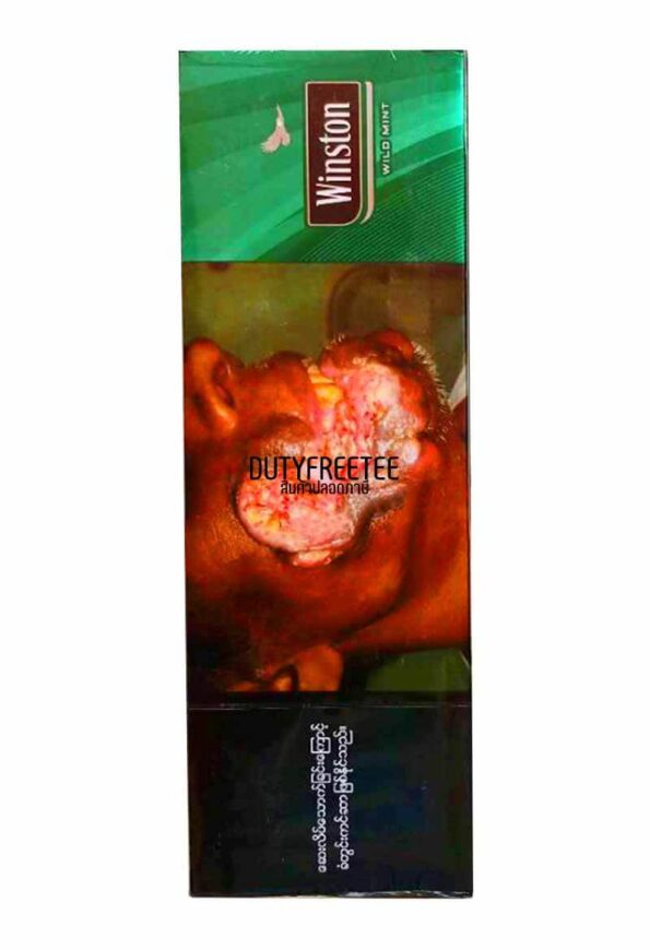 Winston Wild Mint Menthol
