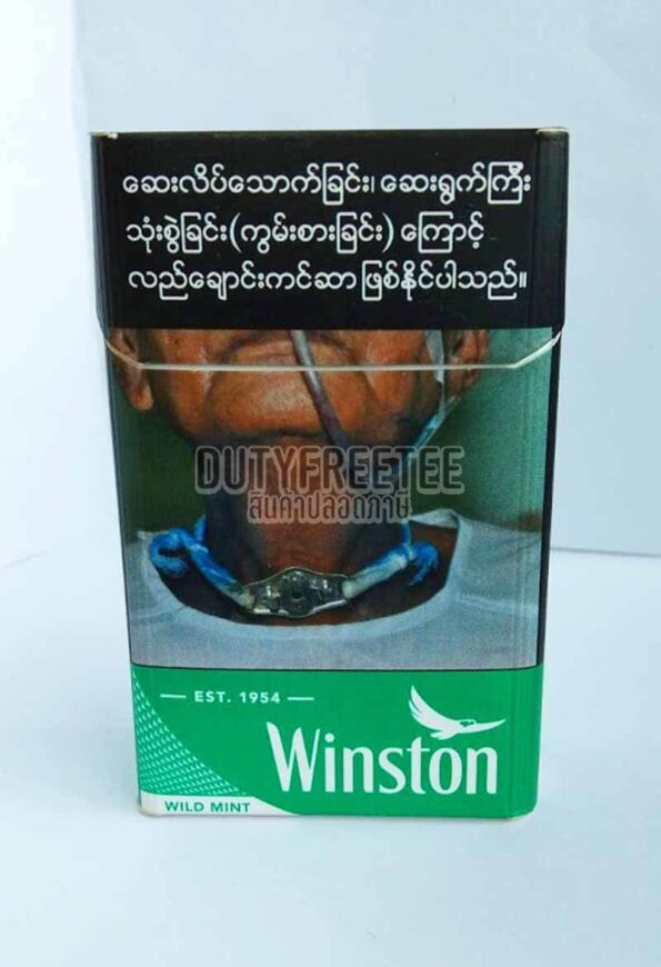 Winston Wild Mint Menthol