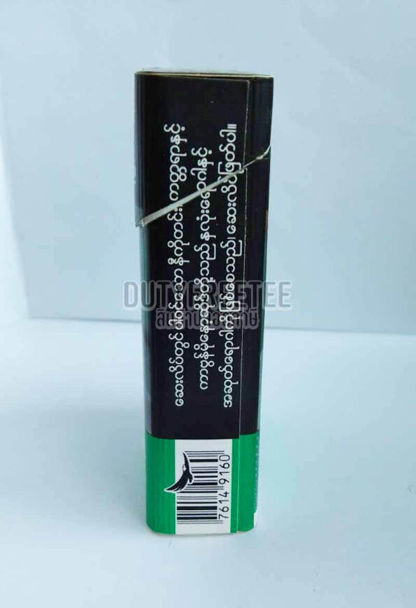 Winston Wild Mint Menthol
