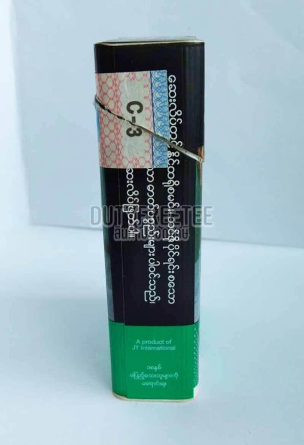 Winston Wild Mint Menthol