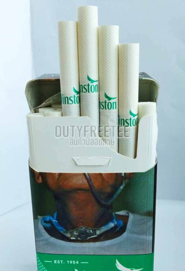 Winston Wild Mint Menthol