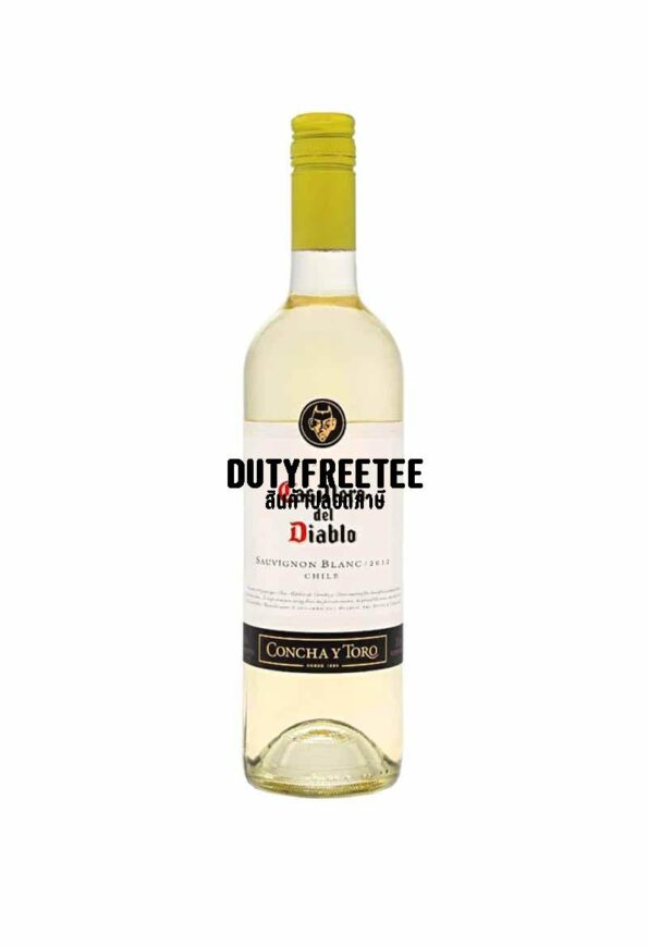 ลัง 12 ขวด Casillero Del Diablo Sauvignon Blanc 2016 - Image 1