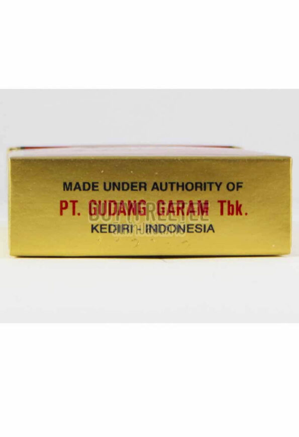 Gudang Garam International